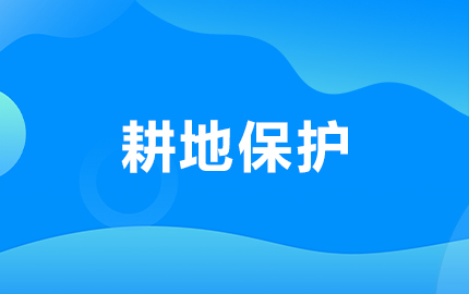 儋州市2023年度土地卫片执法图斑
核查工作