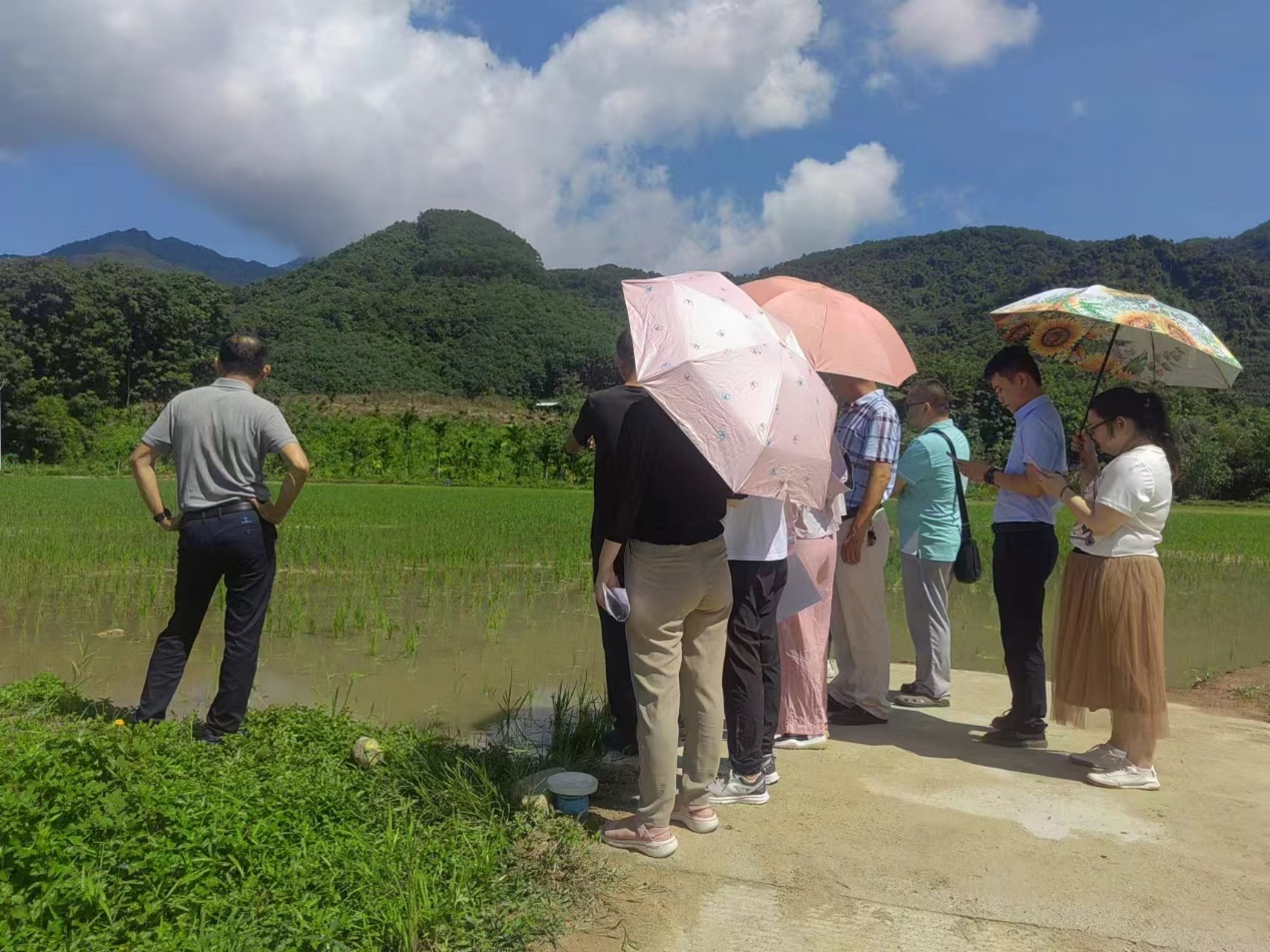 什运至白沙高速公路鹦哥岭隧道及连接线工程用地相关专题方案编制咨询