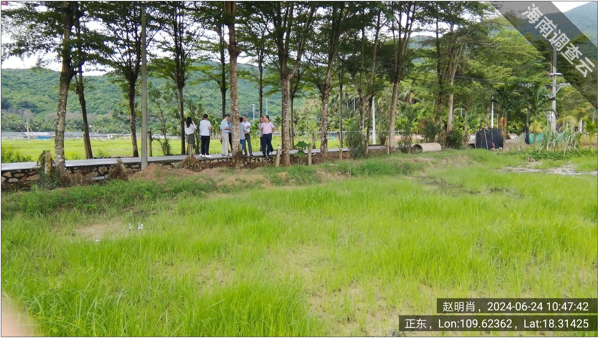 G98环岛高速大茅隧道改建工程用地相关专题技术咨询服务