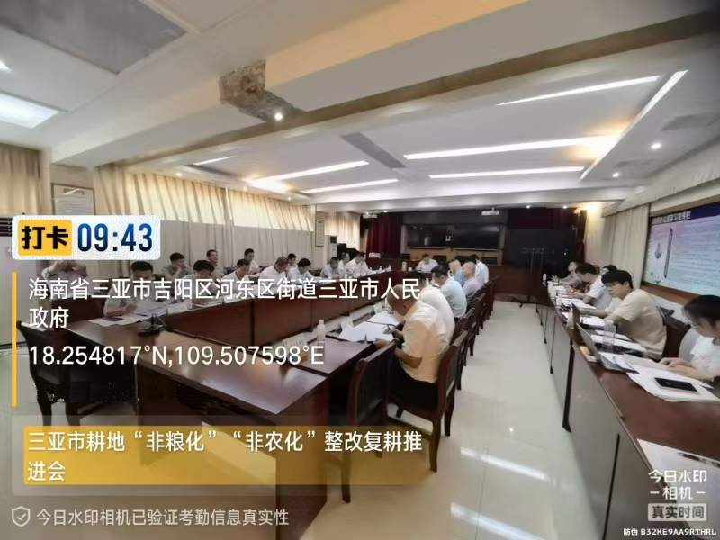 三亚市“非粮化”“非农化”突出问题专项整改复耕工作（2023年）