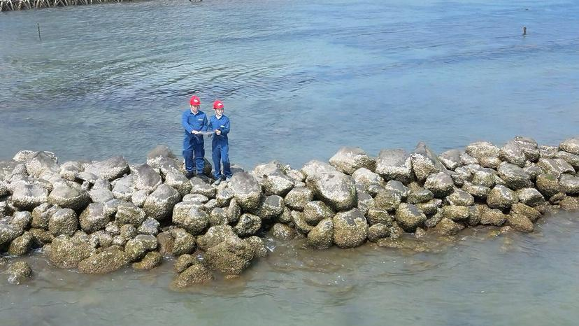 海南-广东电力灵活互济工程(海南段)用地预审技术审核与咨询服务工作